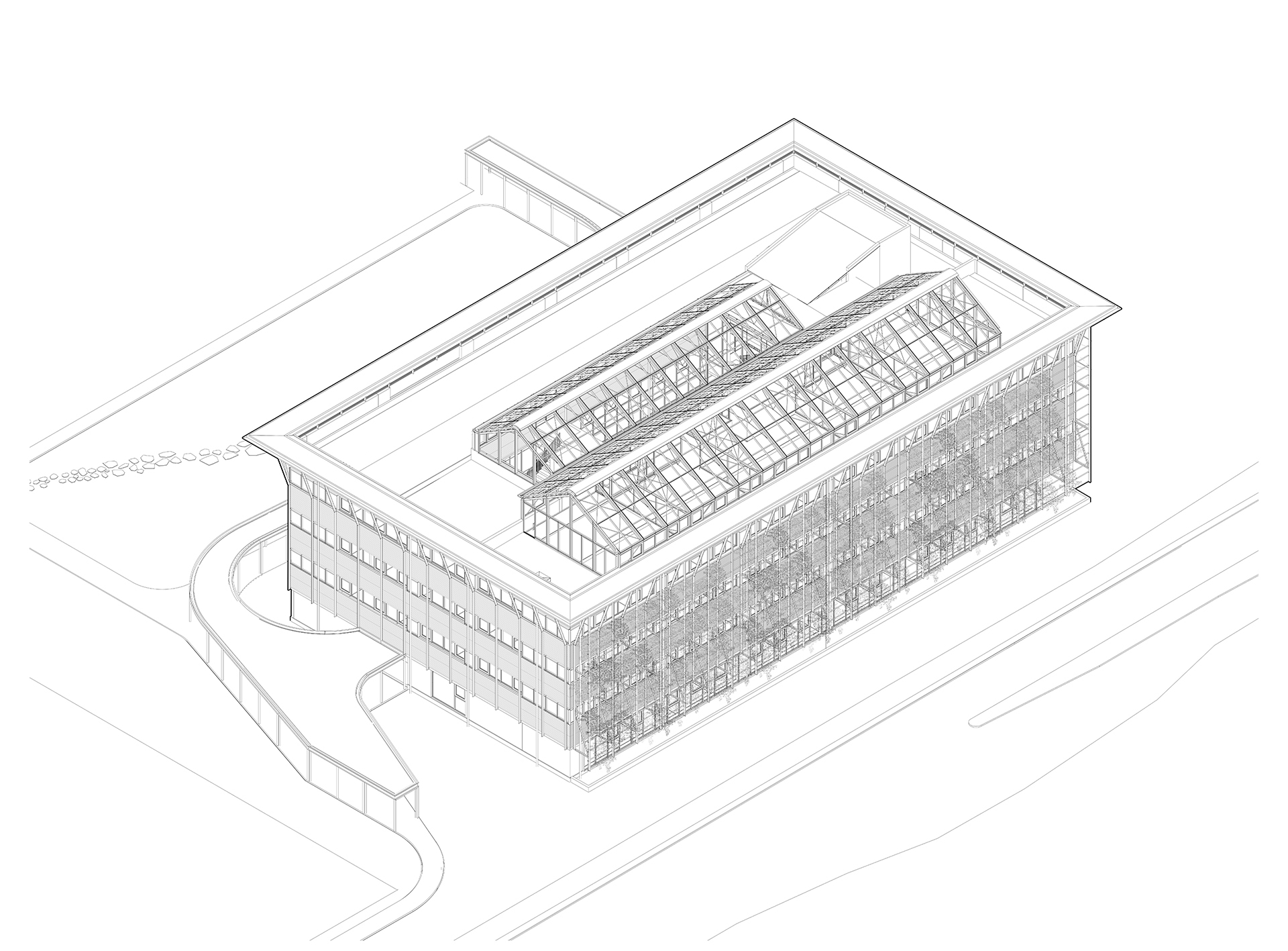 axo ciencias agrarias